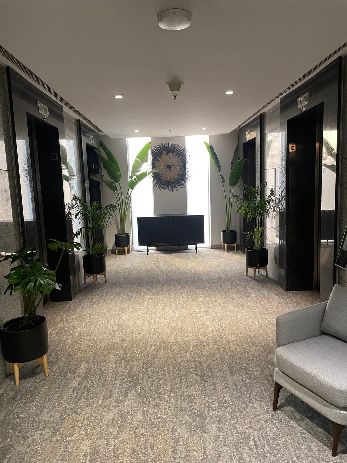 Office plants in a maintained workspace